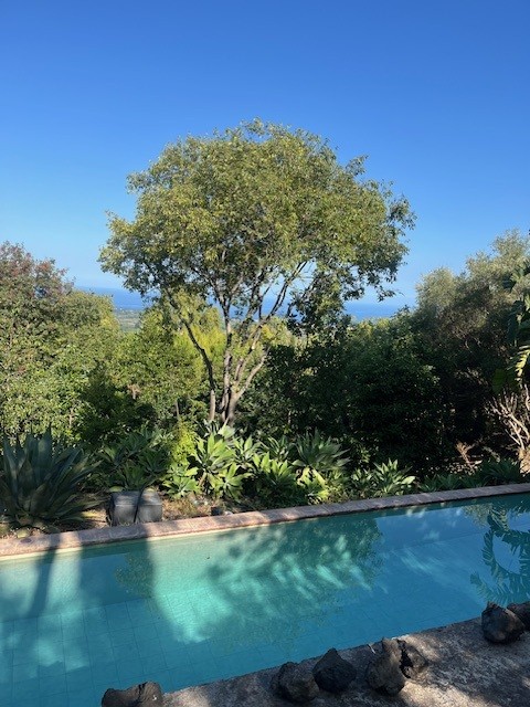 MINOA pool close view