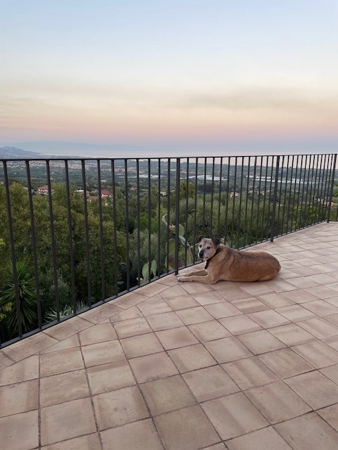 Terrace at MINOA overlooking the Ionian Sea